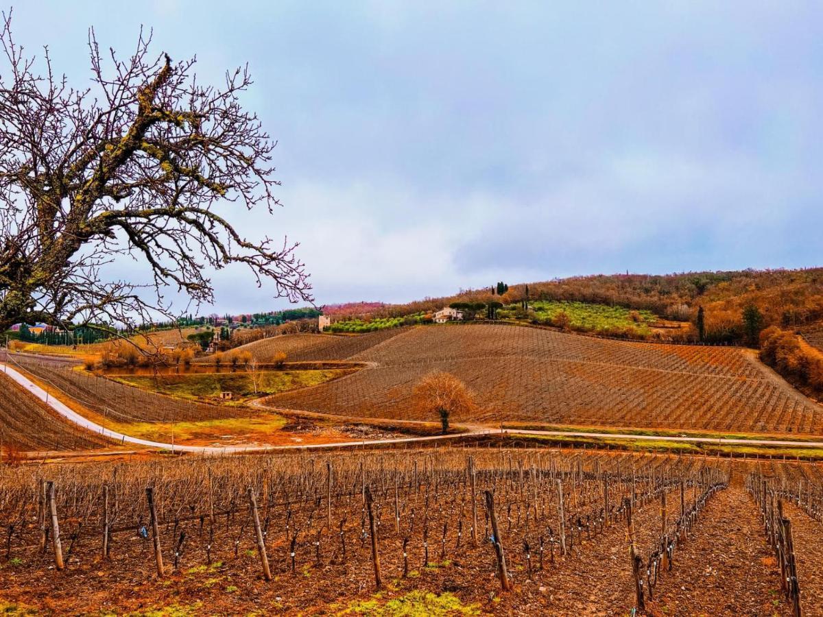 Locanda Podere Le Vigne Ξενοδοχείο Radda in Chianti Εξωτερικό φωτογραφία