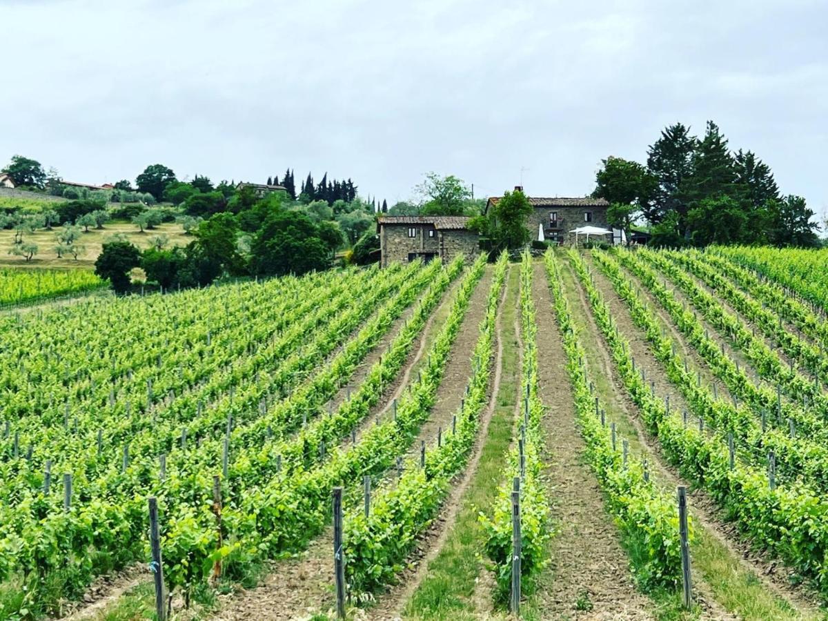 Locanda Podere Le Vigne Ξενοδοχείο Radda in Chianti Εξωτερικό φωτογραφία