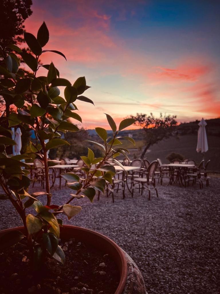 Locanda Podere Le Vigne Ξενοδοχείο Radda in Chianti Εξωτερικό φωτογραφία